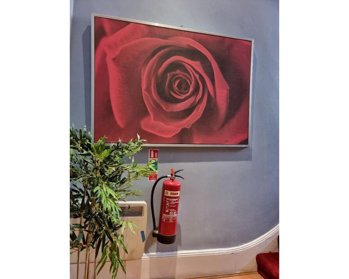 Fb2-Fantastic Basement Studio Good For 3 Near Hyde Park Londres Habitación foto